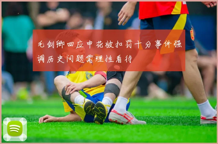 毛剑卿回应申花被扣罚十分事件强调历史问题需理性看待